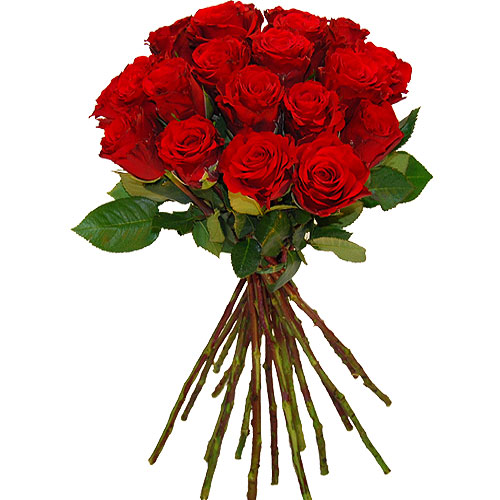 Rosenbund zum Valentinstag - rote Rosen